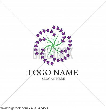Fresh Lavender Flower Logo Vector