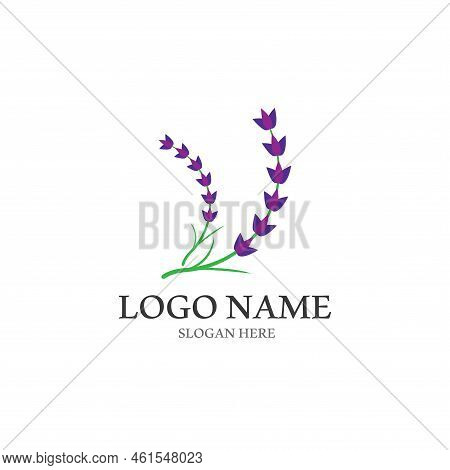 Fresh Lavender Flower Logo Vector