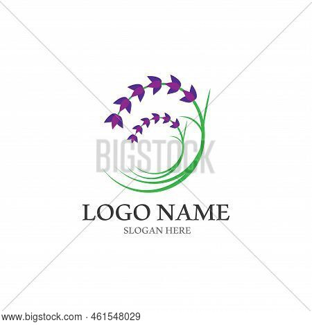 Fresh Lavender Flower Logo Vector