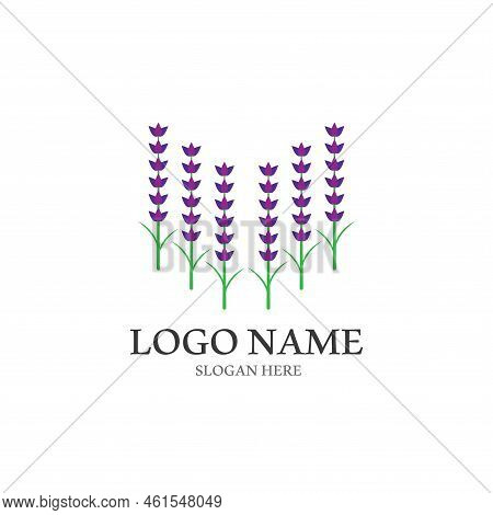 Fresh Lavender Flower Logo Vector