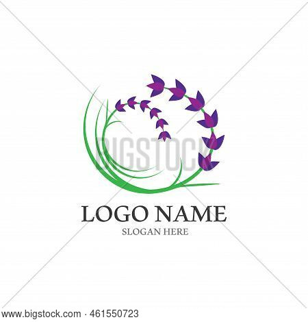 Fresh Lavender Flower Logo Vector