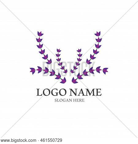 Fresh Lavender Flower Logo Vector