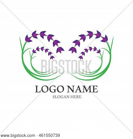 Fresh Lavender Flower Logo Vector