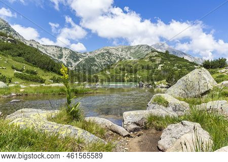 Summer Landscape Of Pirin Mountain Near Banderitsa River, Bulgaria
