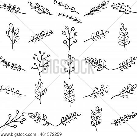 Plants Hand Drawn Doodle Line Art Outline Set Containing Flower, Grass, Herb, Seedling, Shrub, Tree,