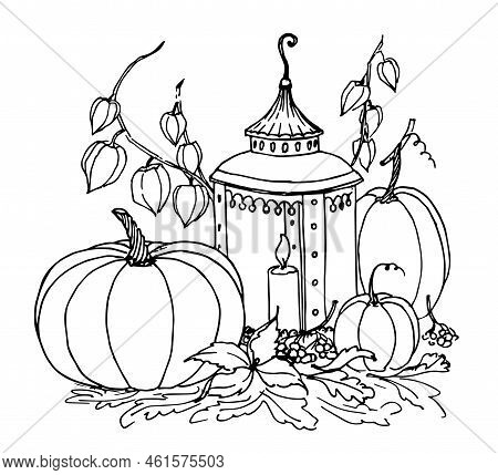 Vector Sketch Of Autumn Pumpkin And Vintage Lantern For Halloween Or Thanksgiving Day. Hand Drawn Li