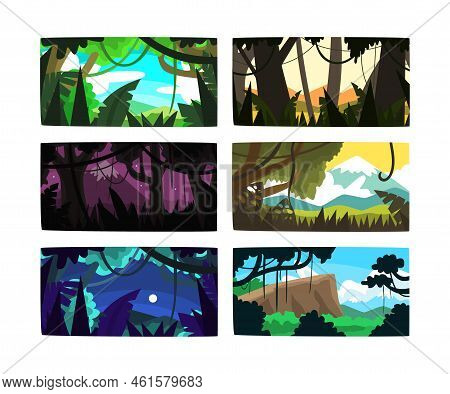 Jungle And Rainforest With Dense Trees, Lush Vegetation And Hanging Lianas Picture Vector Set