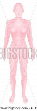 Red Vector Hologram Of A Female Silhouette, Isolated On A Transparent Background. Low-poly Line Mode