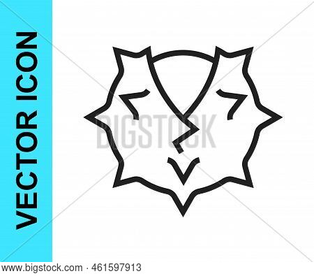 Black Line Chestnut Icon Isolated On White Background. Barbed And Strong Chestnut. Vector
