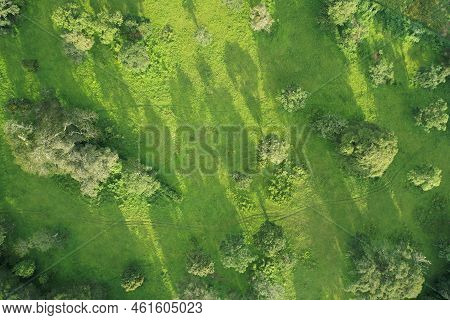Green Park Background