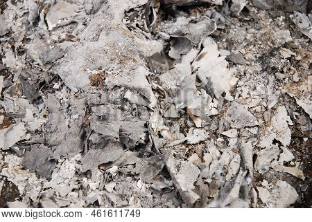 The White And Gray Wood Ash Is From The Campfire At The Campsite. Fireplace. Natural Ash Background,