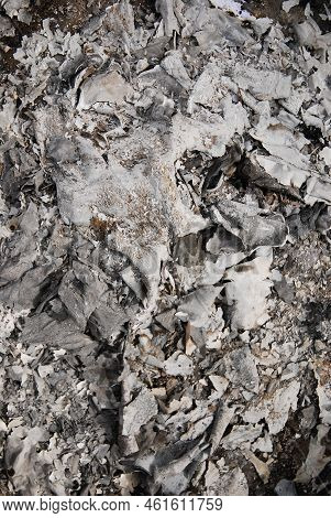 The White And Gray Wood Ash Is From The Campfire At The Campsite. Fireplace. Natural Ash Background,