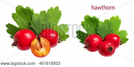 Hawthorn Berry With Leaf And Slice Berry Isolated On White Background Close-up.