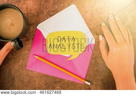 Sign Displaying Data Analysts. Word For Programmer Design And Create Report Identifies Patterns