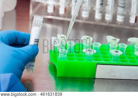 Closeup Of A Scientist Extracting Dna Using The Spin Column-based Nucleic Acid Purification Techniqu
