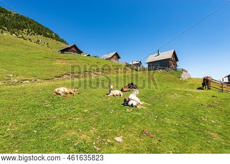 Small Alpine Village With Wooden Chalets, Goats And A Horse. Italy-austria Border, Feistritz An Der 