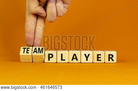 Player Or Teamplayer Symbol. Businessman Turns Wooden Cubes And Changes Concept Words Player To Team