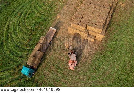 Hay Trailer With Round Bales. Front End Loader Unloading Round Bales. Store Hay At Farm. Hay Rolls A