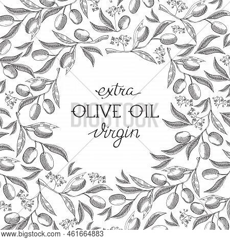 Abstract Olive Oil Vintage Template With Inscription And Hand Drawn Tree Branches On White Backgroun