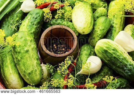 Raw Cucumbers And Ingredients For Cooking Pickled Cucumbers