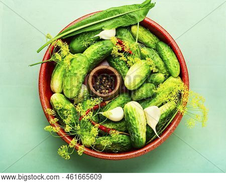 Fresh Cucumbers And Ingredients For Cooking Pickled Cucumbers