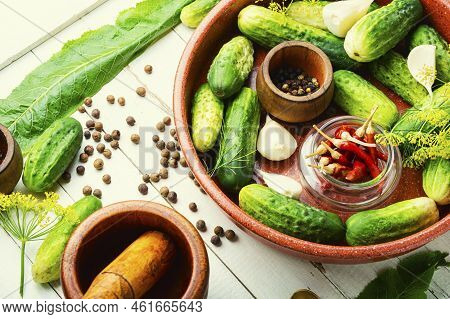 Fresh Cucumbers And Ingredients For Cooking Pickled Cucumbers