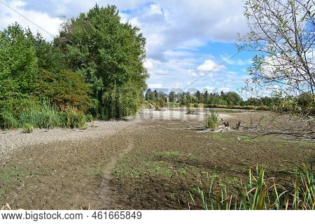 Swamp Lake Of A Nature Reserve During Summer Drought Without Water And Cracked Ground