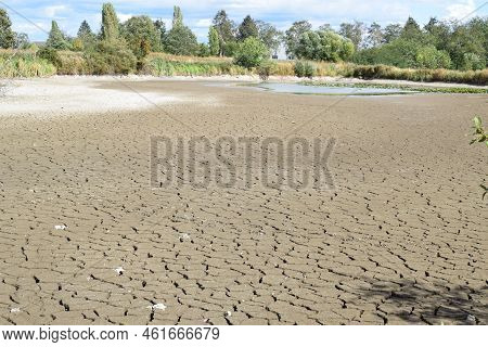 Swamp Lake Of A Nature Reserve During Summer Drought Without Water And Cracked Ground