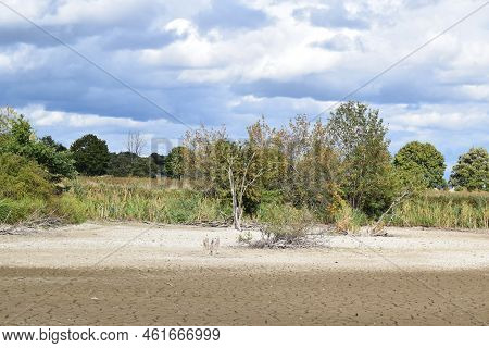 Swamp Lake Of A Nature Reserve During Summer Drought Without Water And Cracked Ground