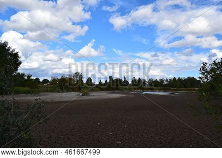 Dry Swamp Lake With A Tiny Waterhole