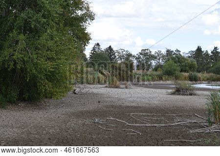 Dry Swamp Lake With A Tiny Waterhole