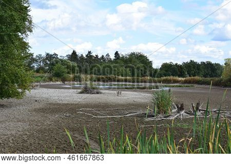 Almost Dry Swamp Lake In Nature Reserve Thürer Wiesen