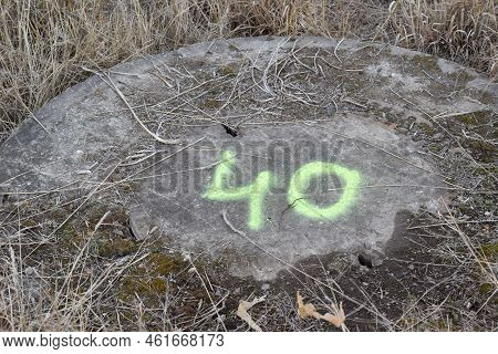 No 40 Painted On An Old Stone With Moss