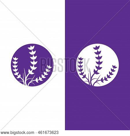 Fresh Lavender Flower Logo Vector