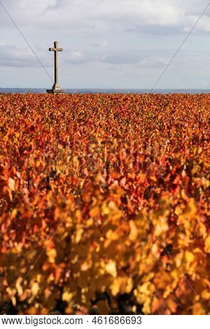 Vineyards In Morgon With A Christian Cross, Beaujolais During The Autumn Season, France