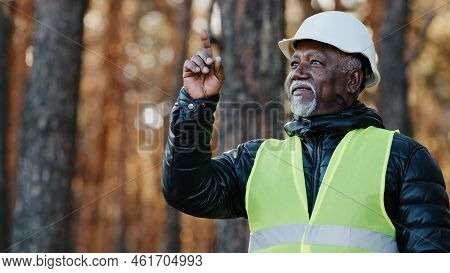 Elderly Forestry Engineer Professional Shares Experience Assesses Environment An Foreman Supervises 
