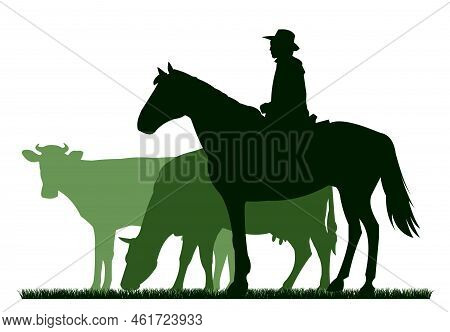 Shepherd Grazes Cows In Pasture. Picture Silhouette. Farm Pets. Animals For Milk And Dairy Products.