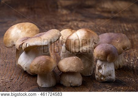 Overview Of Boletus Mushrooms On Rustic Wood