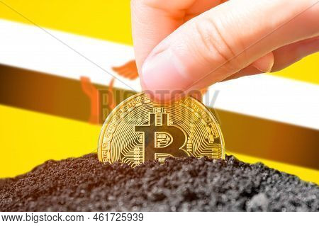 Legalization Of Bitcoin In Brunei. Planting Bitcoin In The Ground On The Background Of The Flag Of B