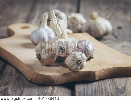 Head Of Fresh Garlic On Wooden Background. Garlic Is One Of The Most Popular Spices In The World. Fa