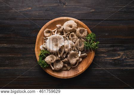 Fresh Edible Mushroom (lentinus Squarrosulus) In Natural Plate On Wooden Background, Organic Food In