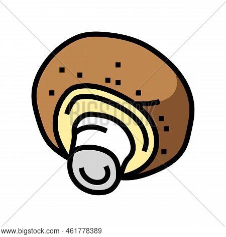 Champignon Fungi Mushroom Color Icon Vector. Champignon Fungi Mushroom Sign. Isolated Symbol Illustr