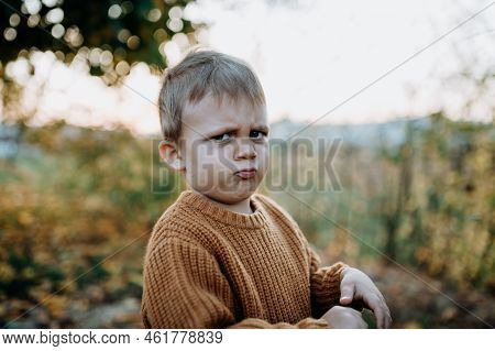 Portrait Of Upset Little Boy Wearing Knitted Sweater In Nautre, Autumn Concept.