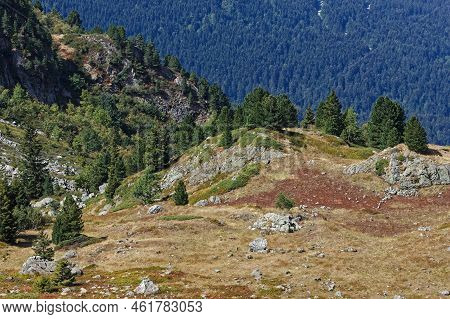 Forests And Meadows Landscape Landscape Of Forests And Mounts Around Leama Lake In Belledonne Mounta