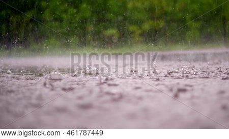 Close-up, Large, Heavy Drops Of Rain, Rainfall, Shower, Fall With A Spray, Water Splashes, On The We