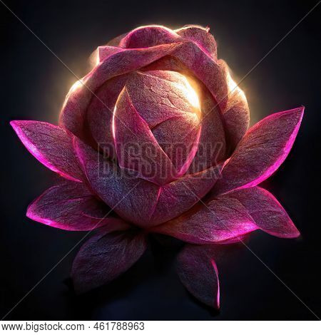 Magic, Pink Rose Glowing, Dreaming Rose Like From A Fairytale - Children Book Illustration
