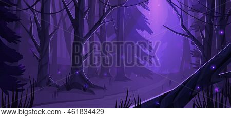 Night Forest Landscape With Trees, Road And Glowworms Shining In Darkness. Wild Wood Natural Backgro