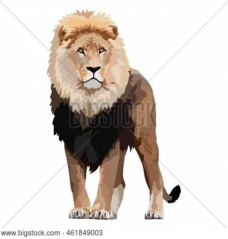 Lion Realistic Icon Vector Illustration Wild Animal.