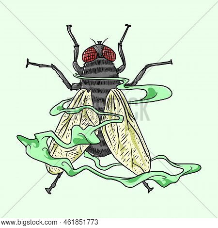 Common Housefly Or Fly Illustration 2d Flat Colors Isolated On White Background. Insects Bugs Worms 
