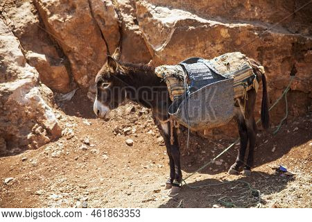 A Loaded Donkey Against The Backdrop Of A Beautiful Rocky Mountainside In The Moroccan Town Of Beni